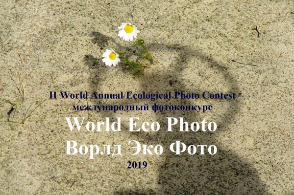         World Eco Photo - 2019