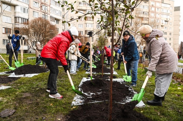 40 инициативных проектов реализовали в Заводоуковском округе 40 инициативных проектов реализовали в Заводоуковском округе